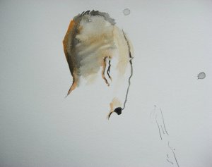 253483_217854741580963_100000693164201_701510_1250963_n