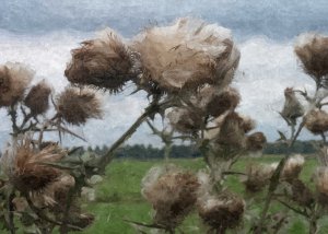 244026_1570649126211_3108177_o